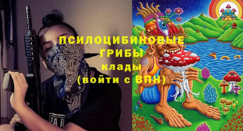 Галлюциногенные грибы Magic Shrooms  Полярные Зори 